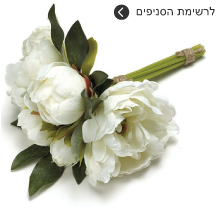 חנויות פרחים