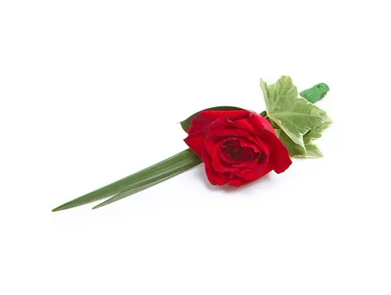 דש ורד אדומה לג'קט החתן ZER4U