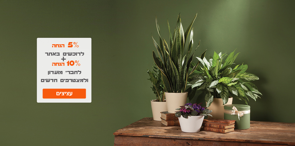 עציצים