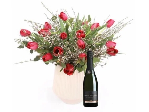 זר מונקו (טוליפ אדום) בינוני וקאווה