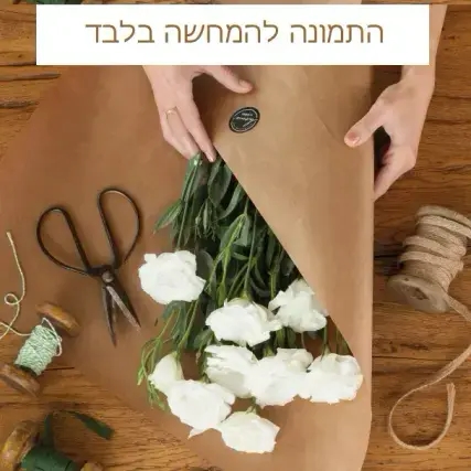 זר בעיצוב החנות ZER4U