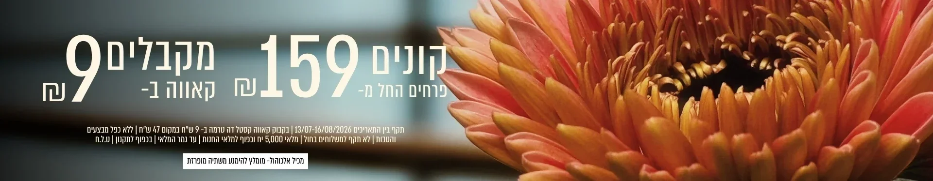 קנה ממגוון הזרים ב 159 ש"ח וקבל בקבוק קאווה 9 ש"ח בלבד | ללא כפל מבצעים והנחות |
