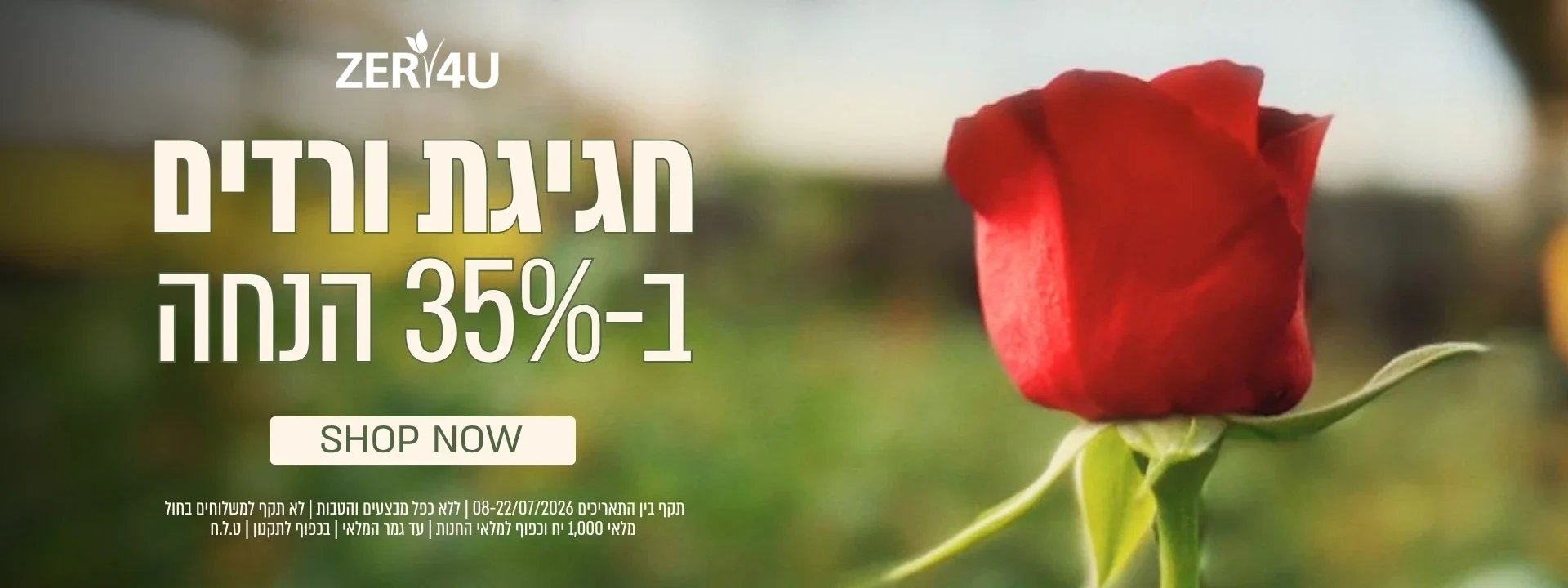 35% הנחה על זרי ורדים | ללא כפל מבצעים והנחות