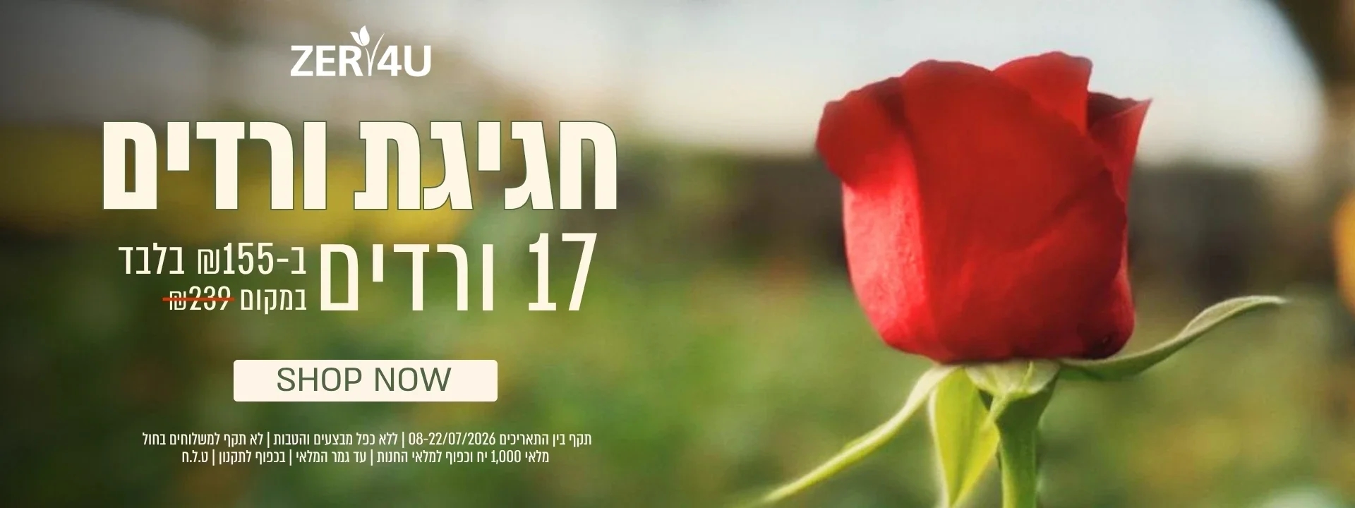 35% הנחה על זרי ורדים | ללא כפל מבצעים והנחות