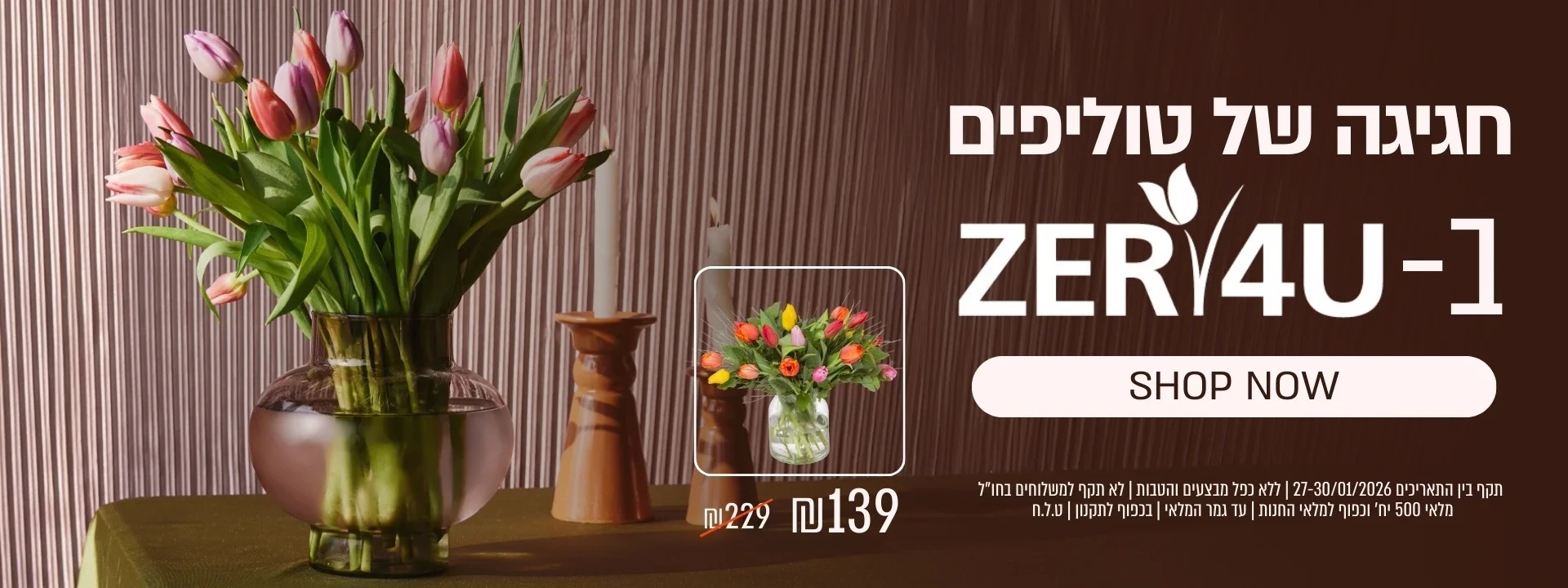 חגיגת טוליפים ב ZER4U