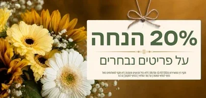 20% הנחה על פריטים נבחרים