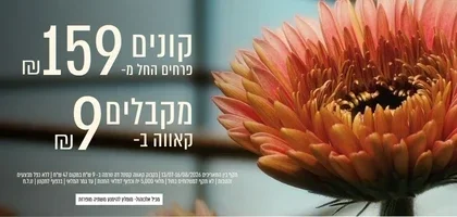 קנה ממגוון הזרים ב 159 ש"ח וקבל בקבוק קאווה 9 ש"ח בלבד | ללא כפל מבצעים והנחות |