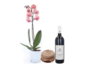 סחלב DIAMOND בכלי דבש ויין אדום למדא