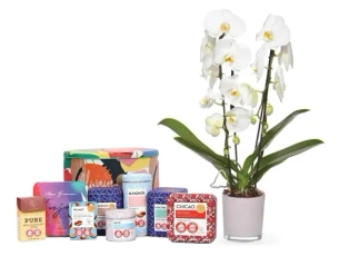 סחלב AMBER ומארז MAX BRENNER