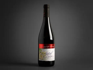 חוני לג'נד שילה