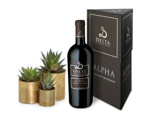 שלישיית סוקולנט זהב ויין אלפא דלתא
