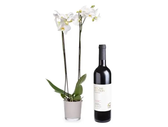 סחלב בעל זוג ענפים בכלי זכוכית ויין קברנה סוביניון אדיר