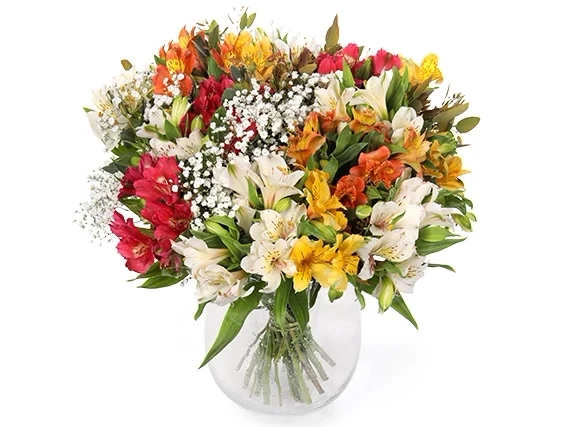 זר פרחי אלסטרומריה במגוון צבעים