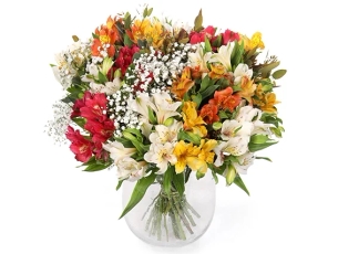 זר פרחי אלסטרומריה במגוון צבעים