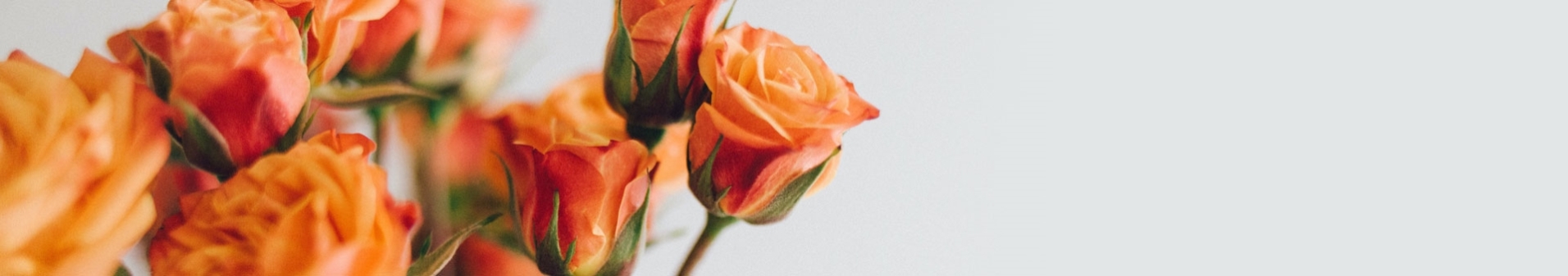 דרושים זר פור  יו