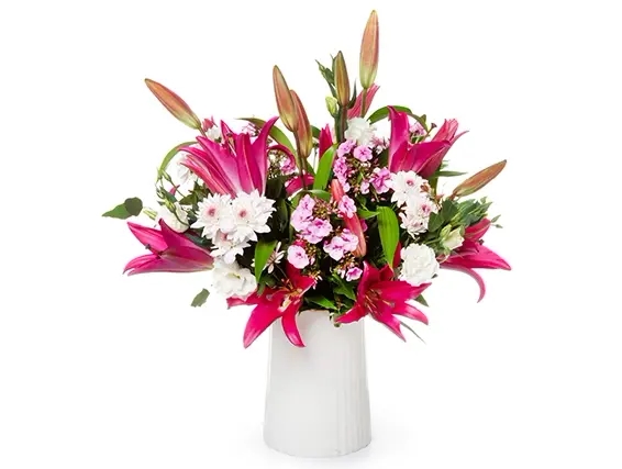 זר ליסבון | שושן אוריינטאלי ורוד ZER4U