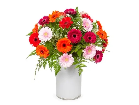 זר מיקס גרברות ZER4U