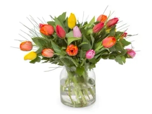 זר שדה טוליפים ZER4U