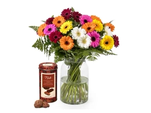 זר מיקס גרברות ונאטס פקאן