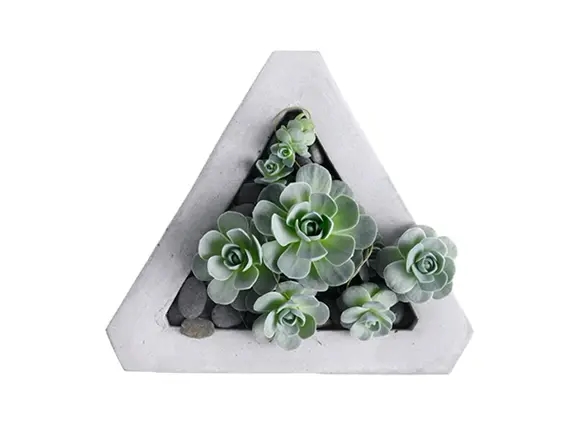 עציץ סוקולנט בכלי משולש ZER4U