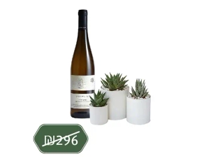 סוקולנטים שלישיה ויין לכבוד החג זר פור יו