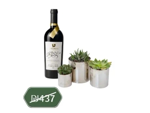 סוקולנטים שלישיה ויין אדום לגאסי פטי וורדו זר פור יו